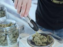 3 Reasons Why You Cannot Find Space For Your Dispensary